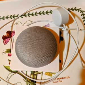 Google home mini